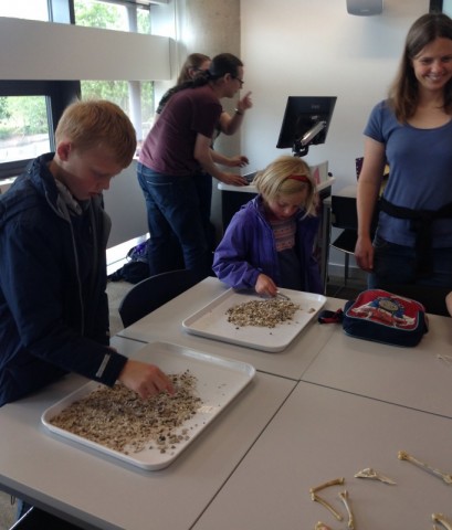 Chicken Project - Poultry in Motion Bournemouth University